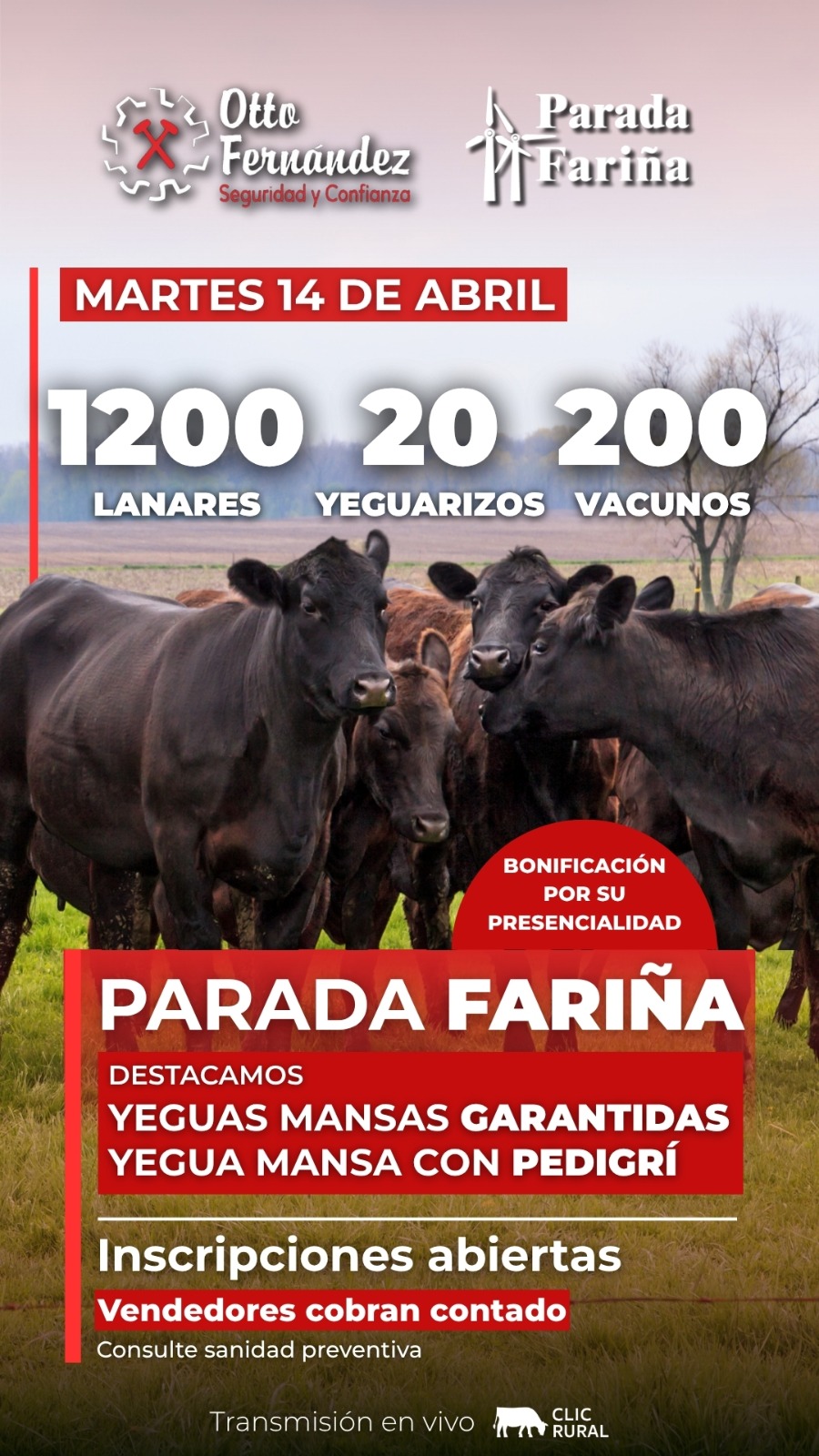 Feria Mensual - Parada Fariña