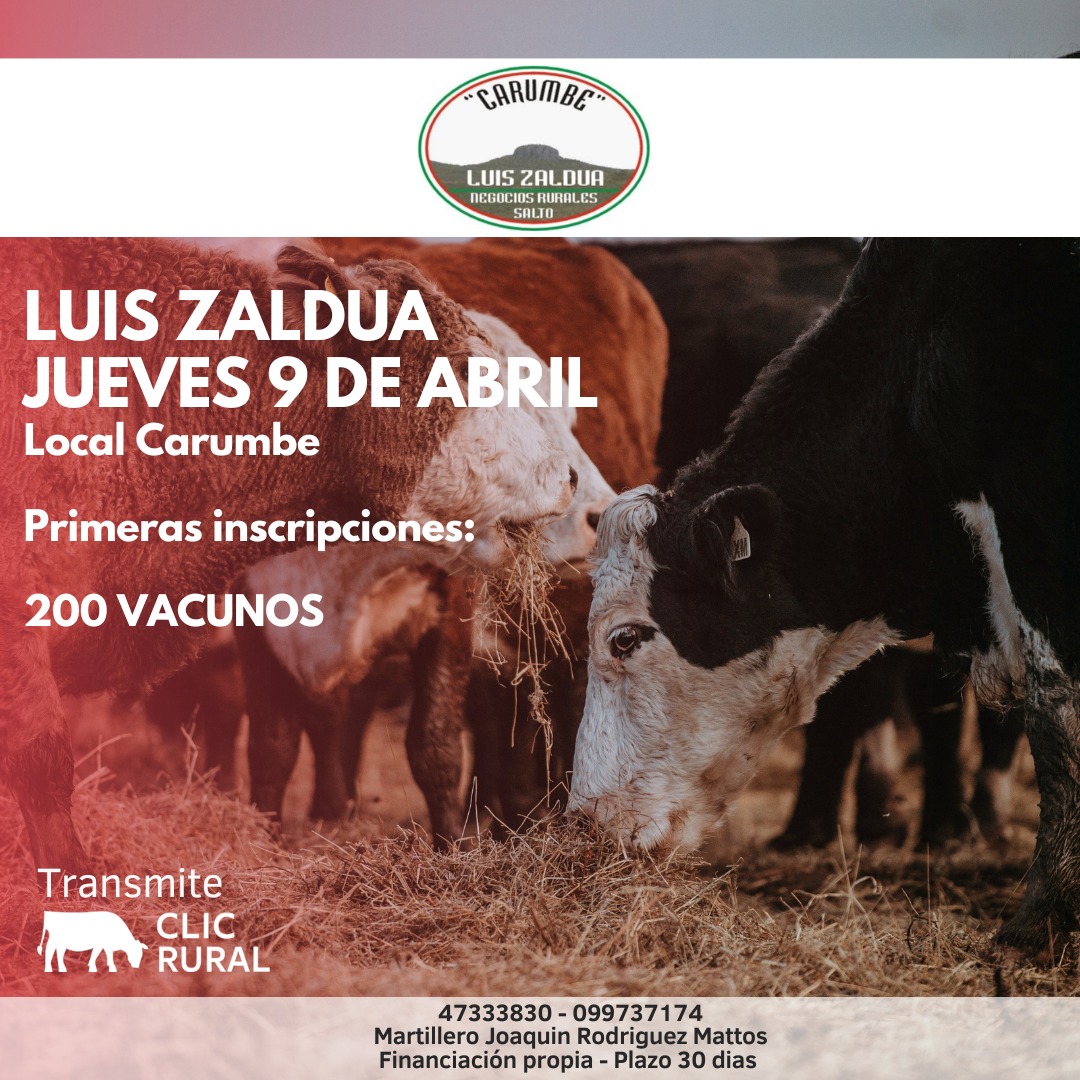 Remate Feria Mensual - Carumbe