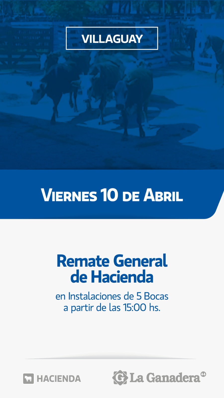 REMATE FERIA 5 BOCAS - PASO DE LA LAGUNA