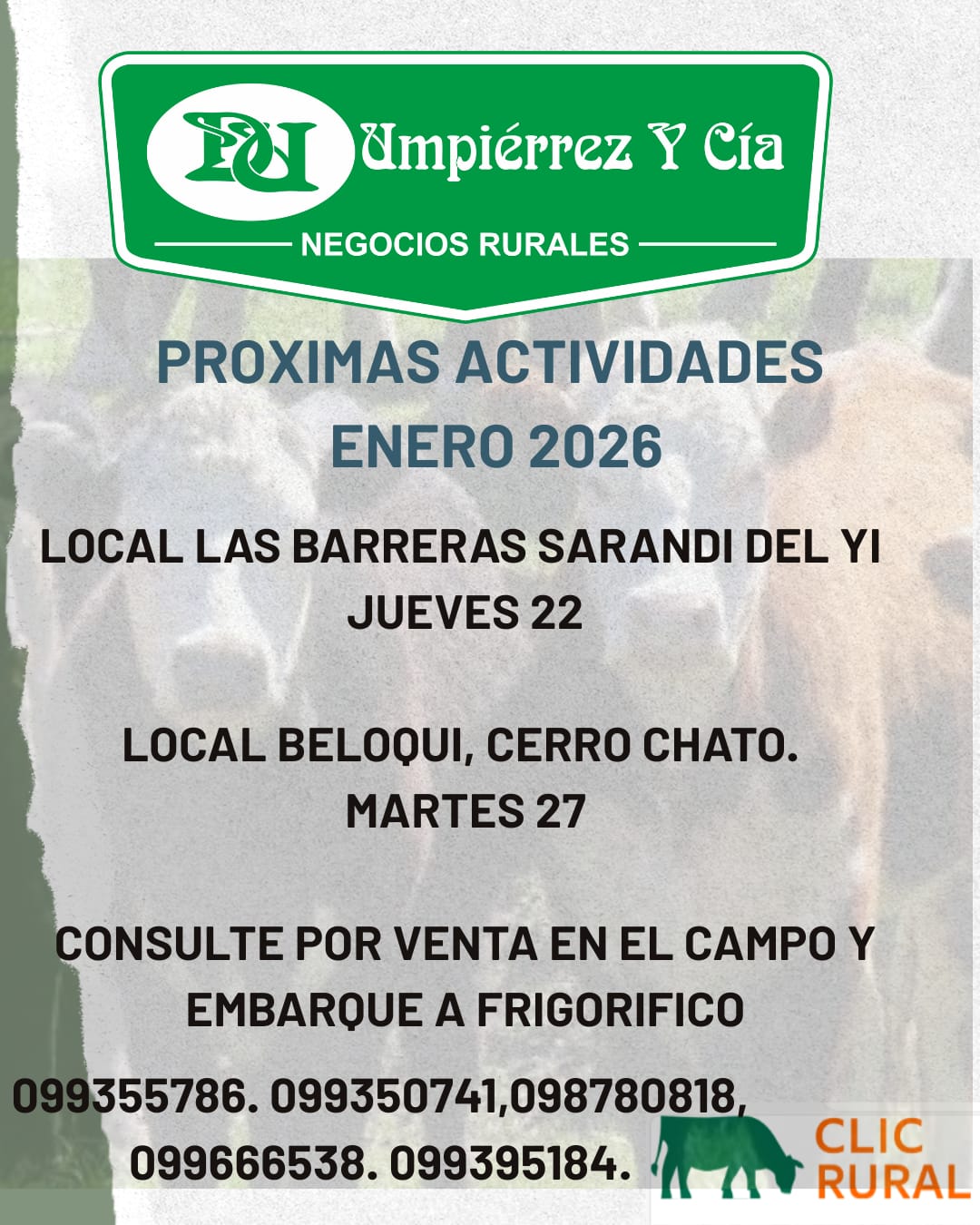 Afiche Feria Mensual - Local Beloqui