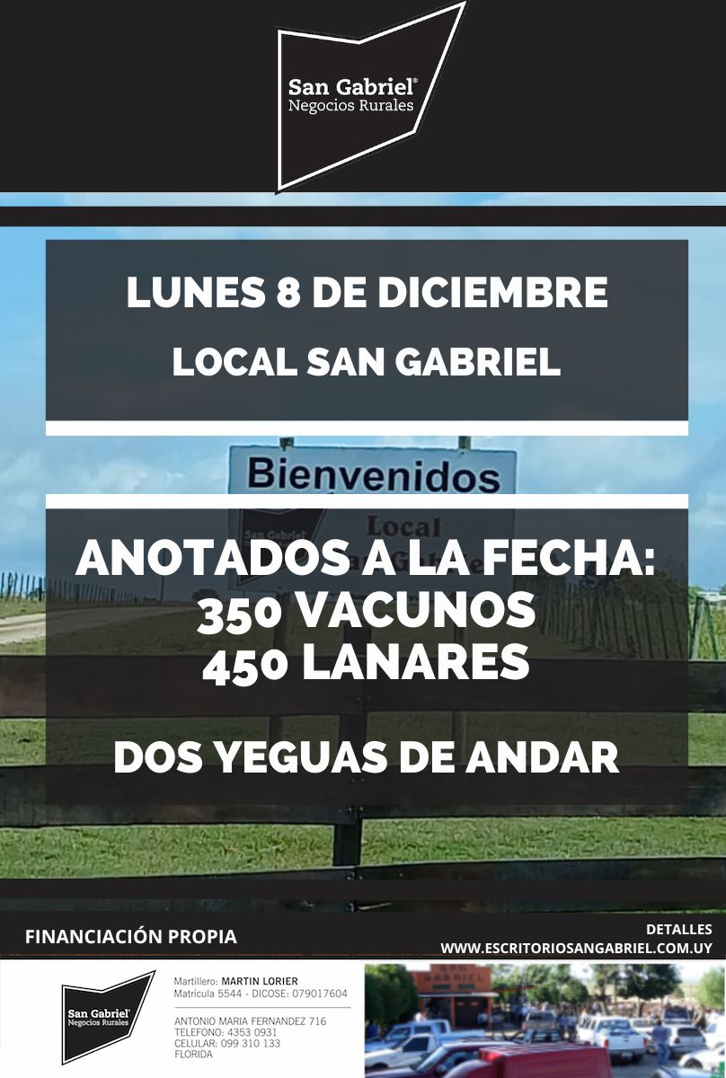 Remate Feria Mensual - Local San Gabriel