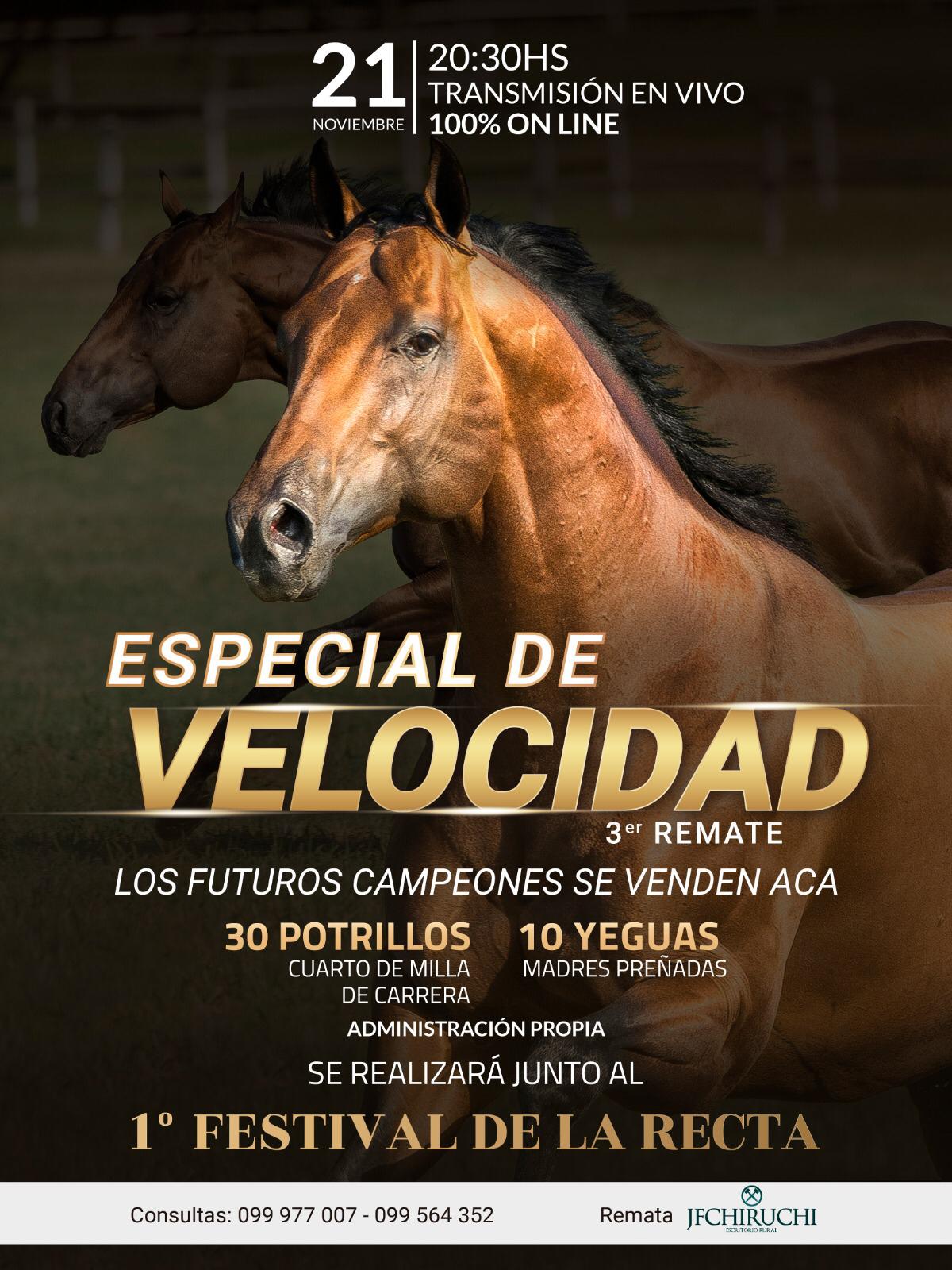 Afiche ESPECIAL DE VELOCIDAD