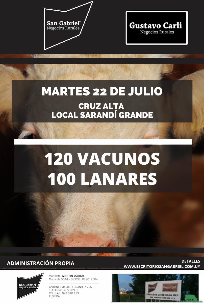 Afiche Feria mensual - Local Cruz Alta