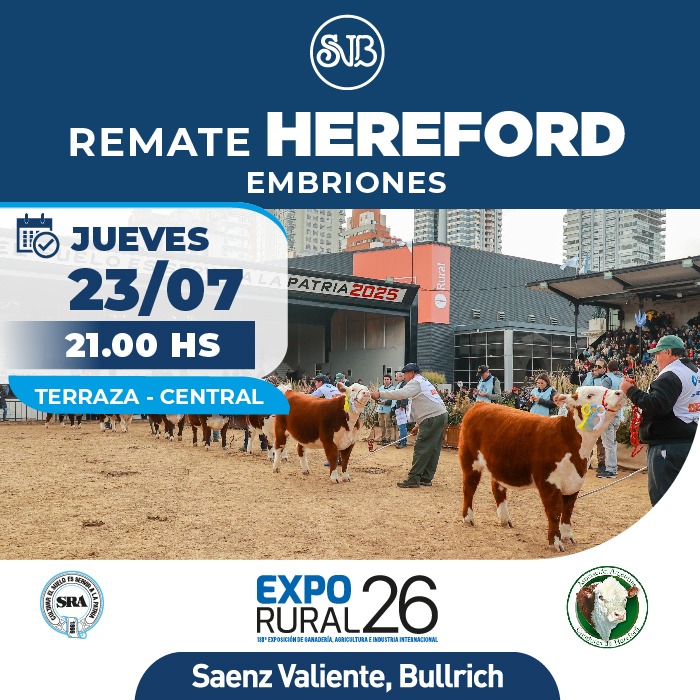 Hereford - Embriones