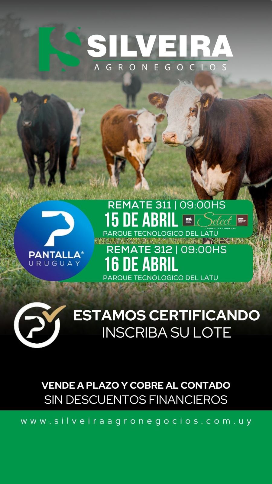 311º remate Pantalla Uruguay