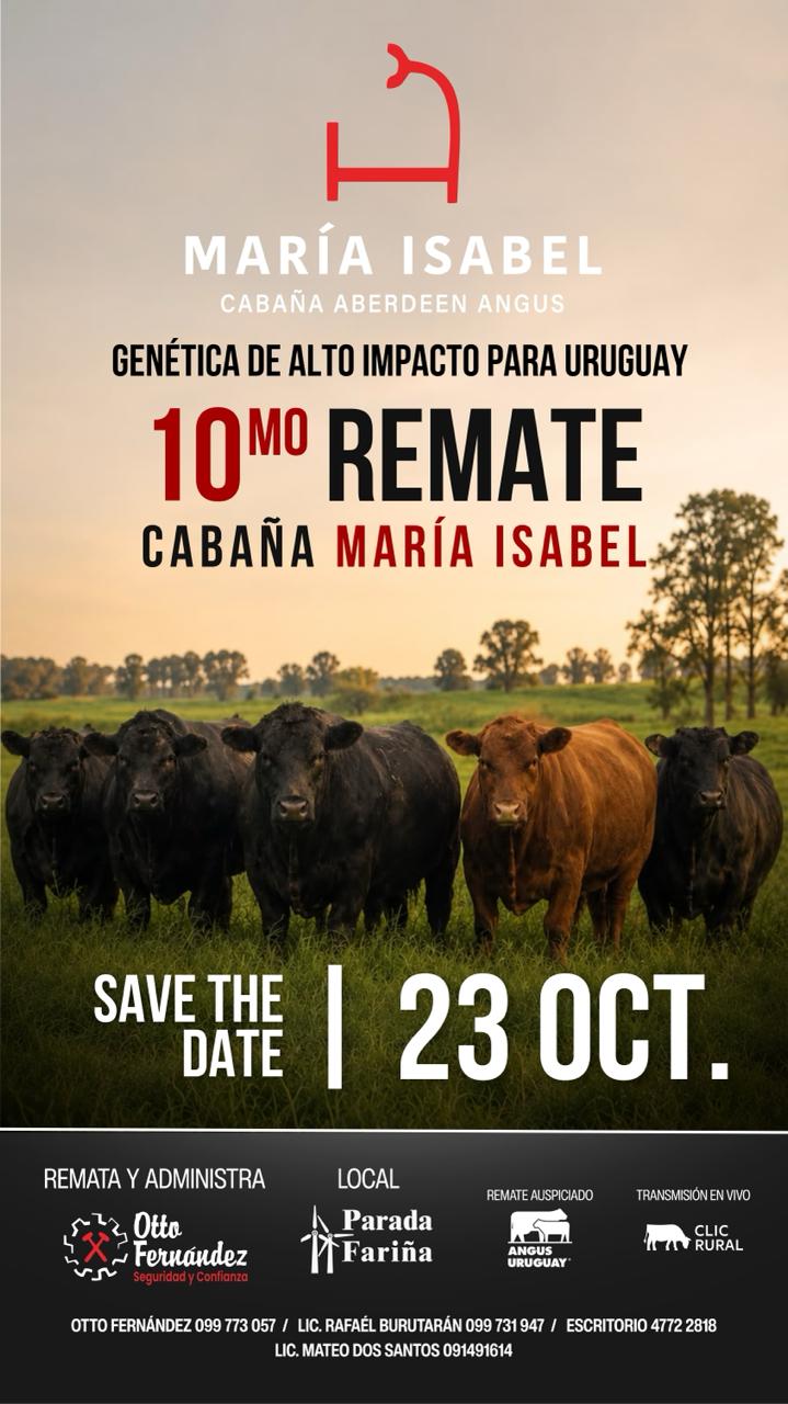 Remate 10º Maria Isabel