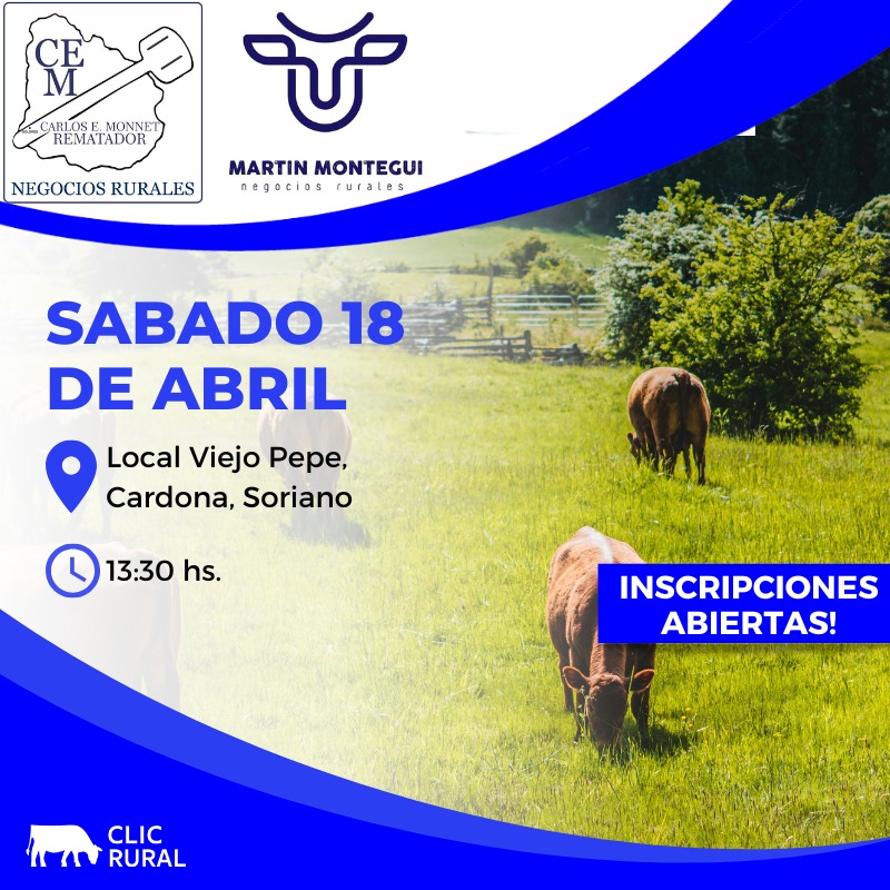 Remate Feria Mensual - Local Viejo Pepe