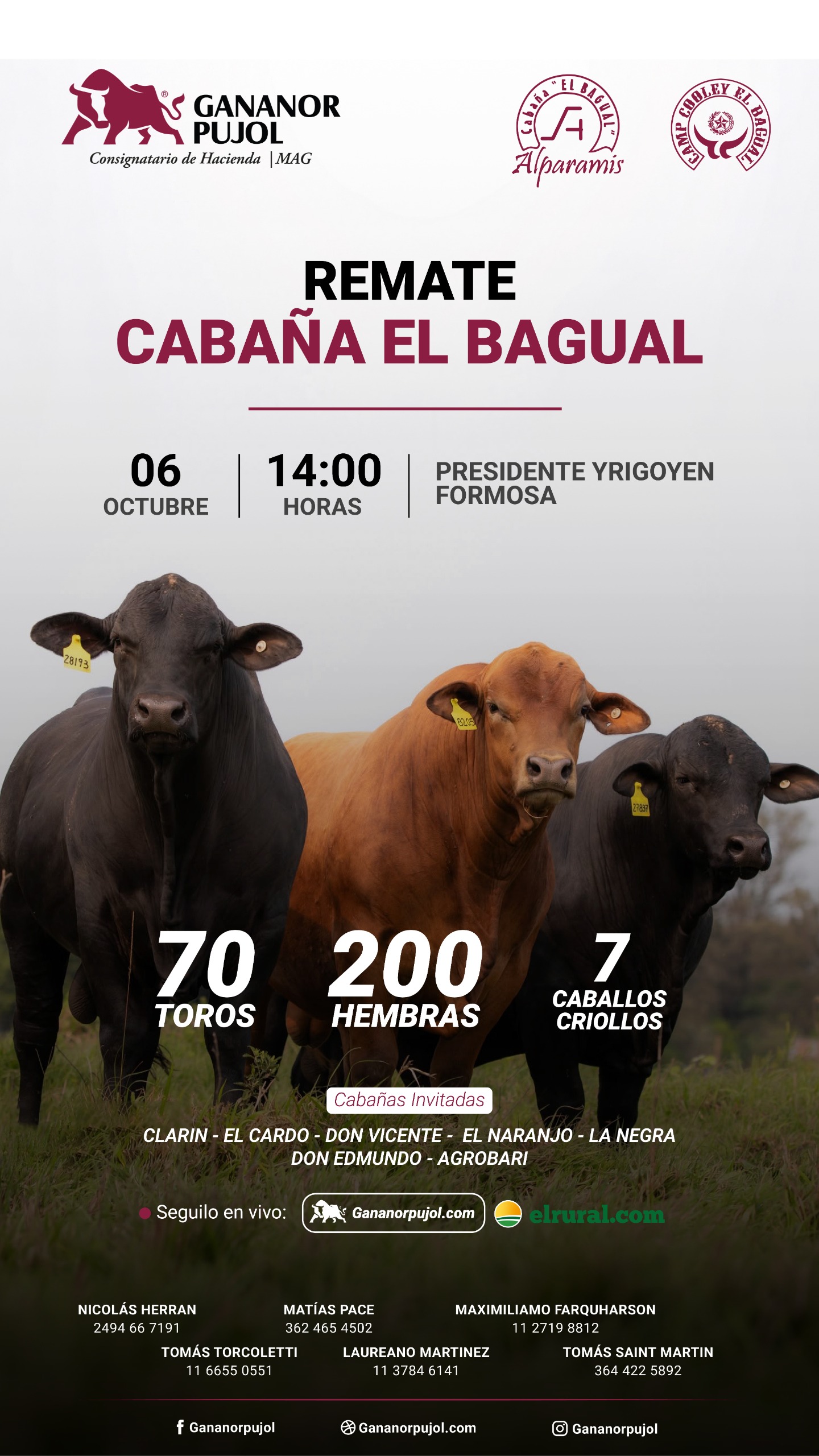 Afiche Remate Cabaña El Bagual 