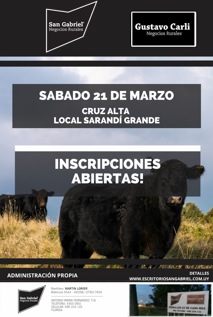 Remate Feria en Cruz Alta Sarandi