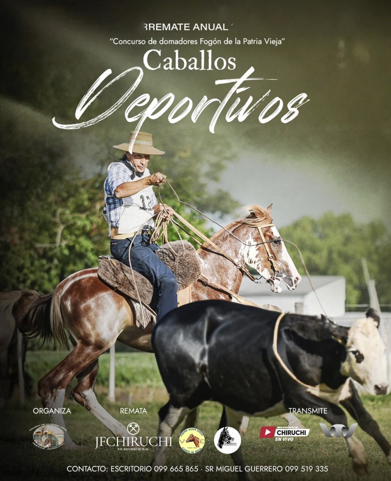 Caballos Deportivos