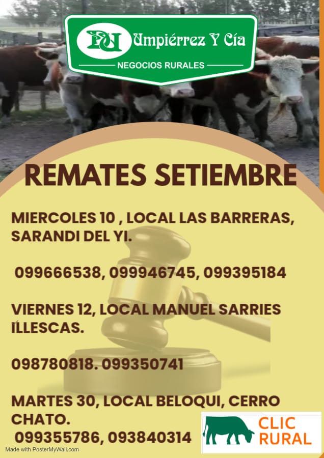 Remate Feria Mensual - Local Beloqui