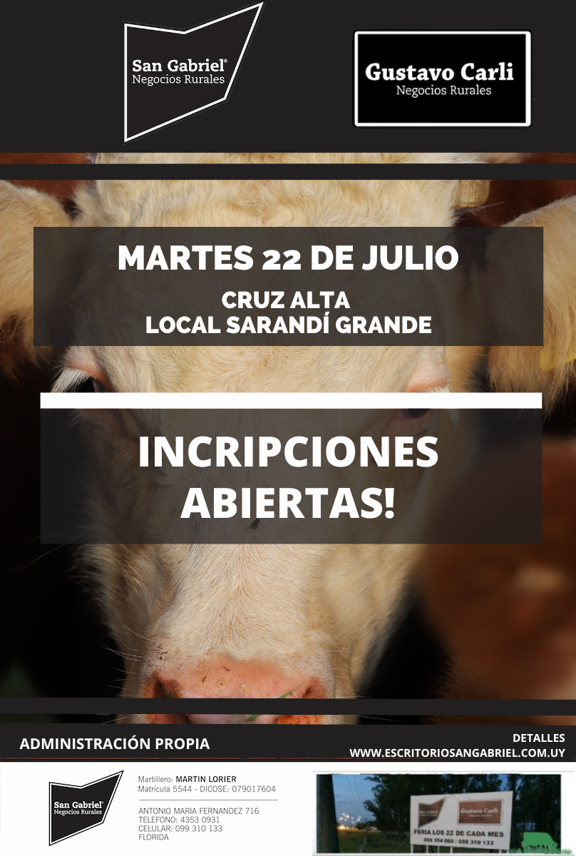 Afiche Feria mensual - Local Cruz Alta