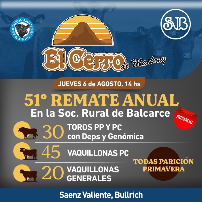 Afiche El Cerrro de Mackrey