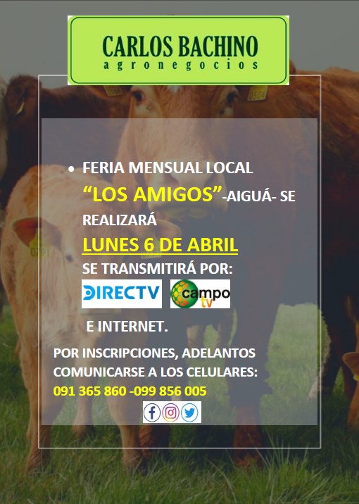 Afiche Feria mensual Local Los Amigos - Aiguá - Carlos Bachino