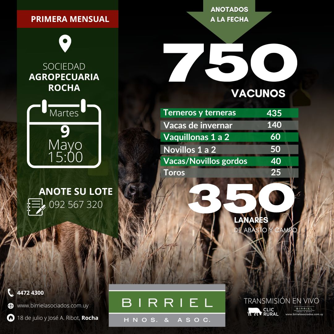 Afiche Primera Mensual 