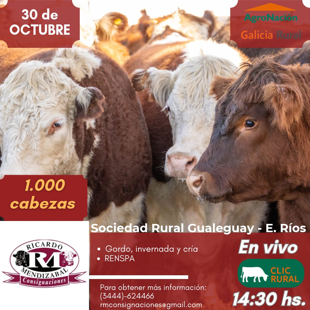 Remate Remate