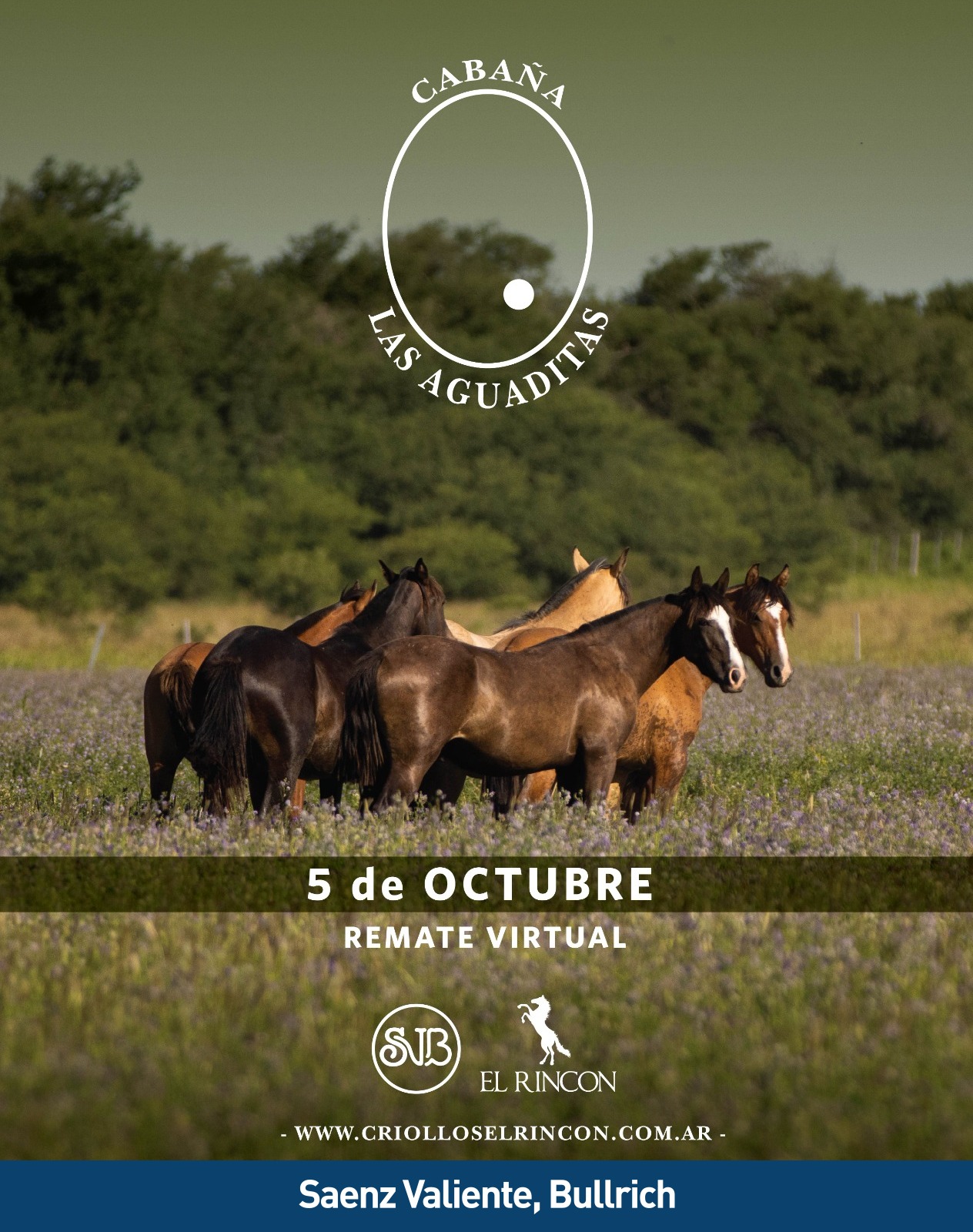 Afiche Las Aguaditas