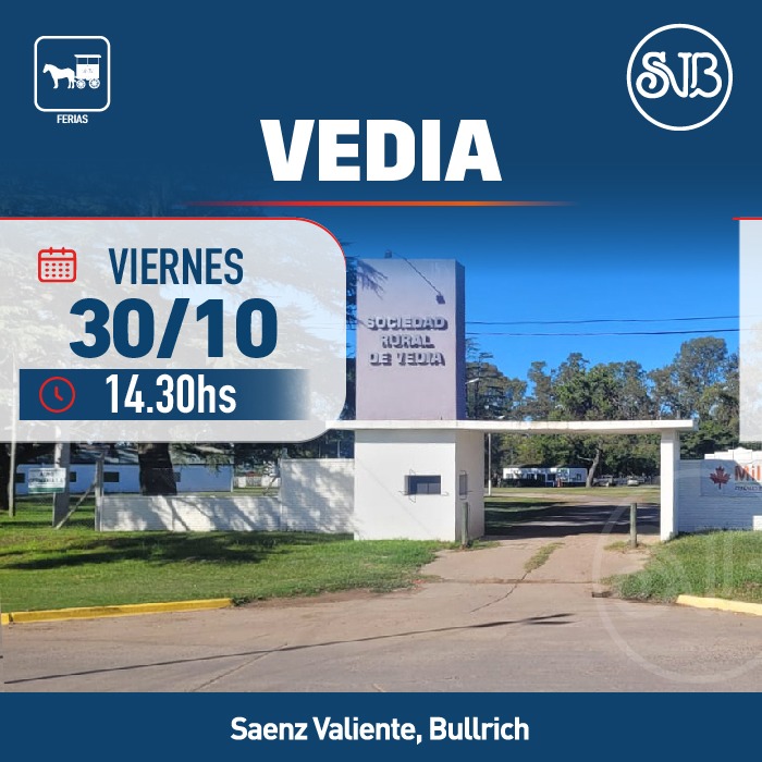 Afiche Feria en Vedia