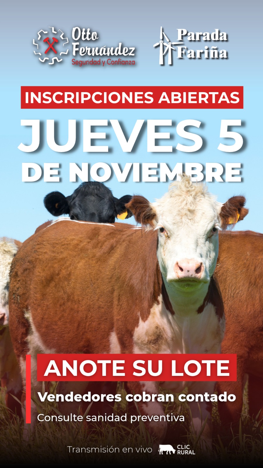 Afiche Feria mensual - Parada Fariña