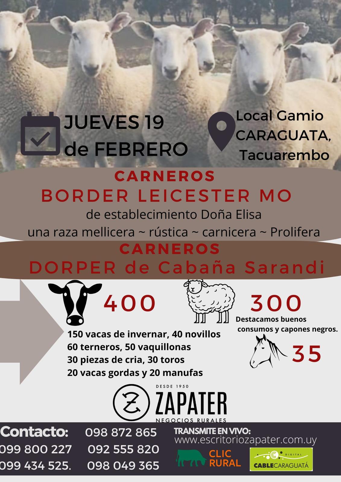 Feria Mensual - Local Gamio