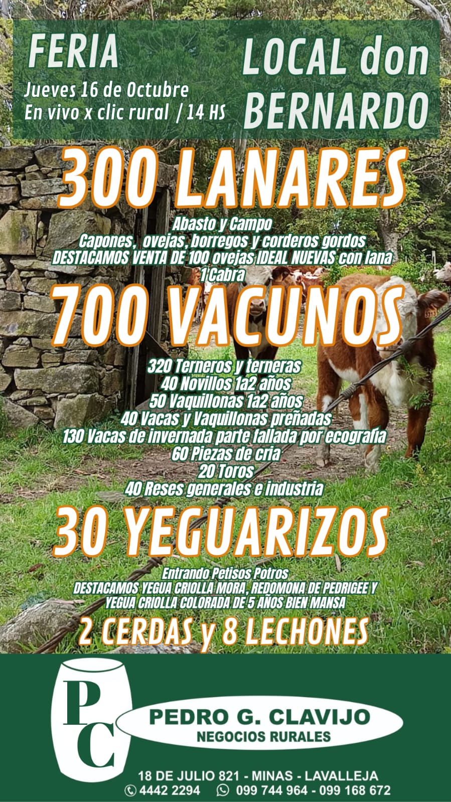 Afiche Feria Mensual - Local Don Bernardo