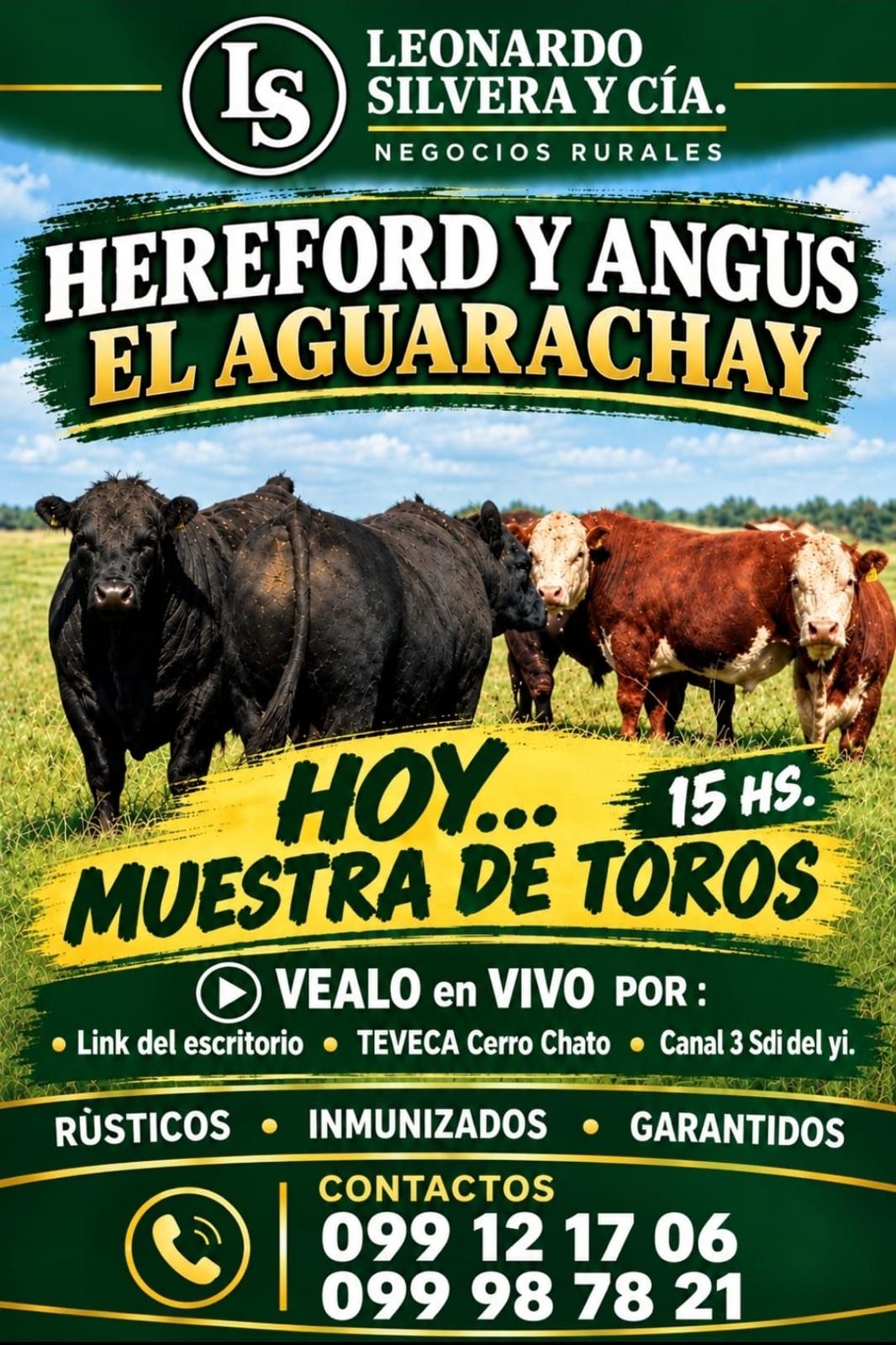 Afiche Jornada de campo. Cabaña El Aguarachay