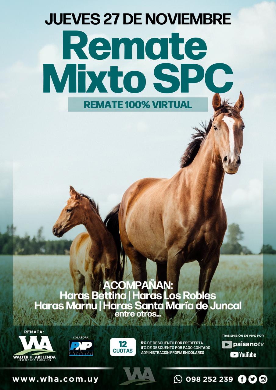 Remate Mixto SPC