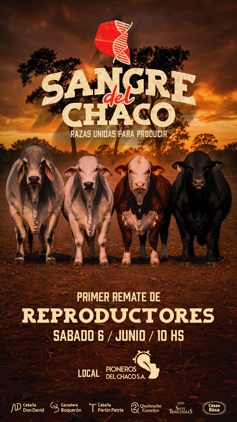 Remate Sangre del Chaco
