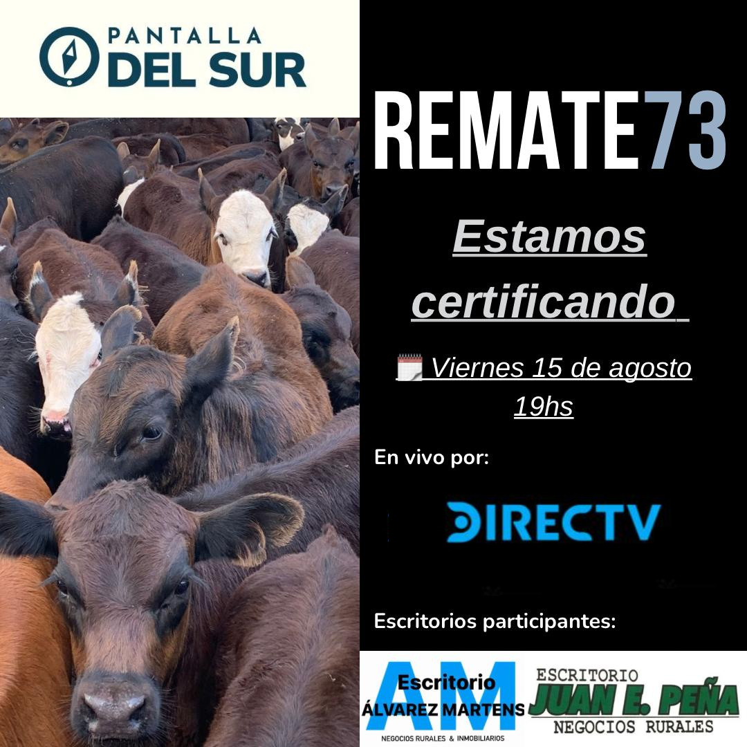 Remate 73° Pantalla del Sur