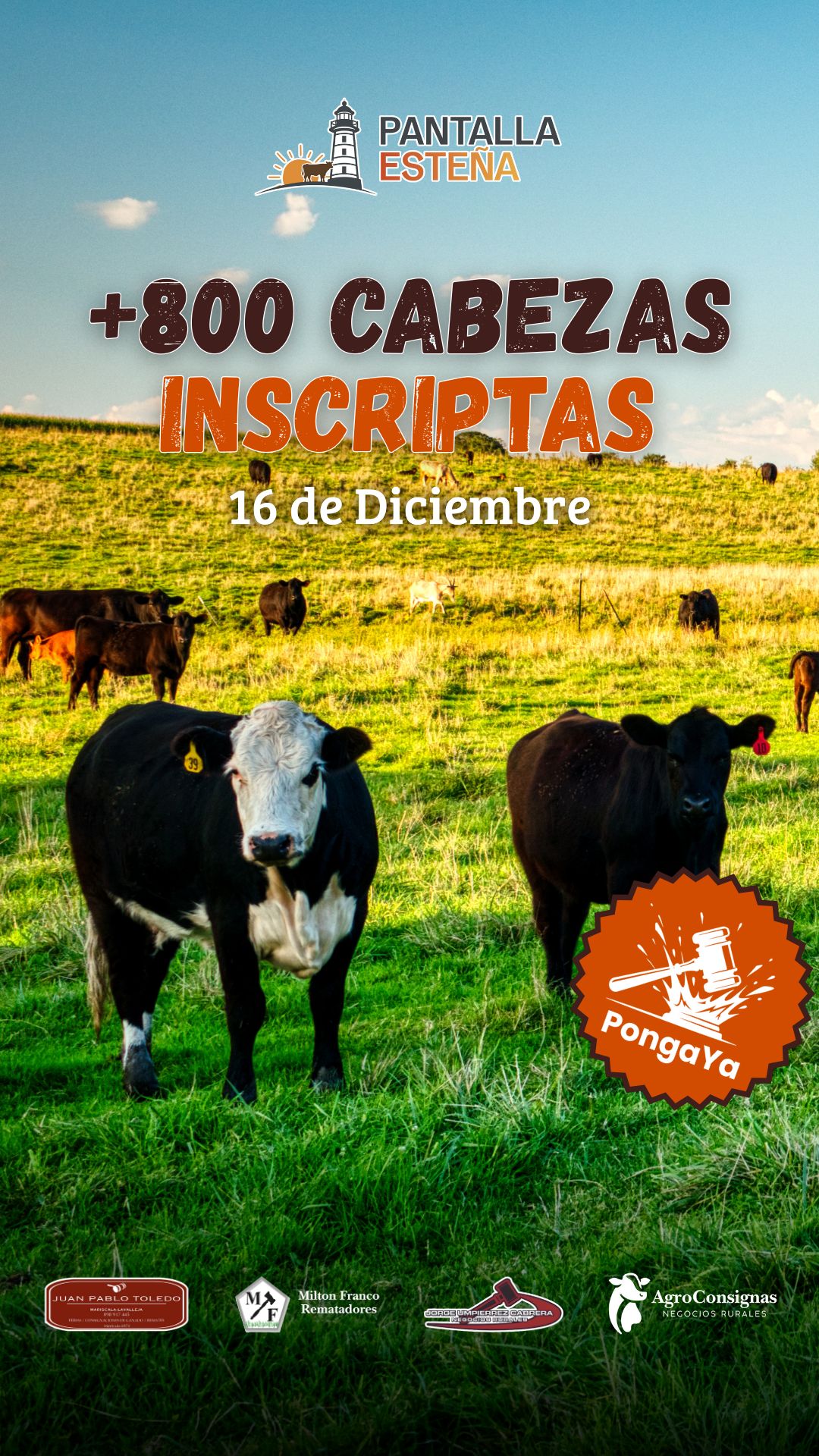 Afiche 2º Pantalla Esteña