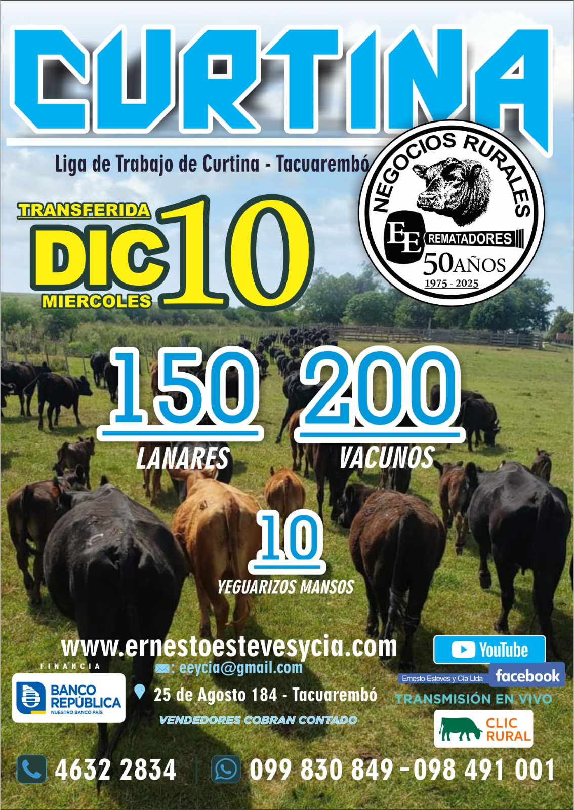 Remate Feria Mensual - Curtina