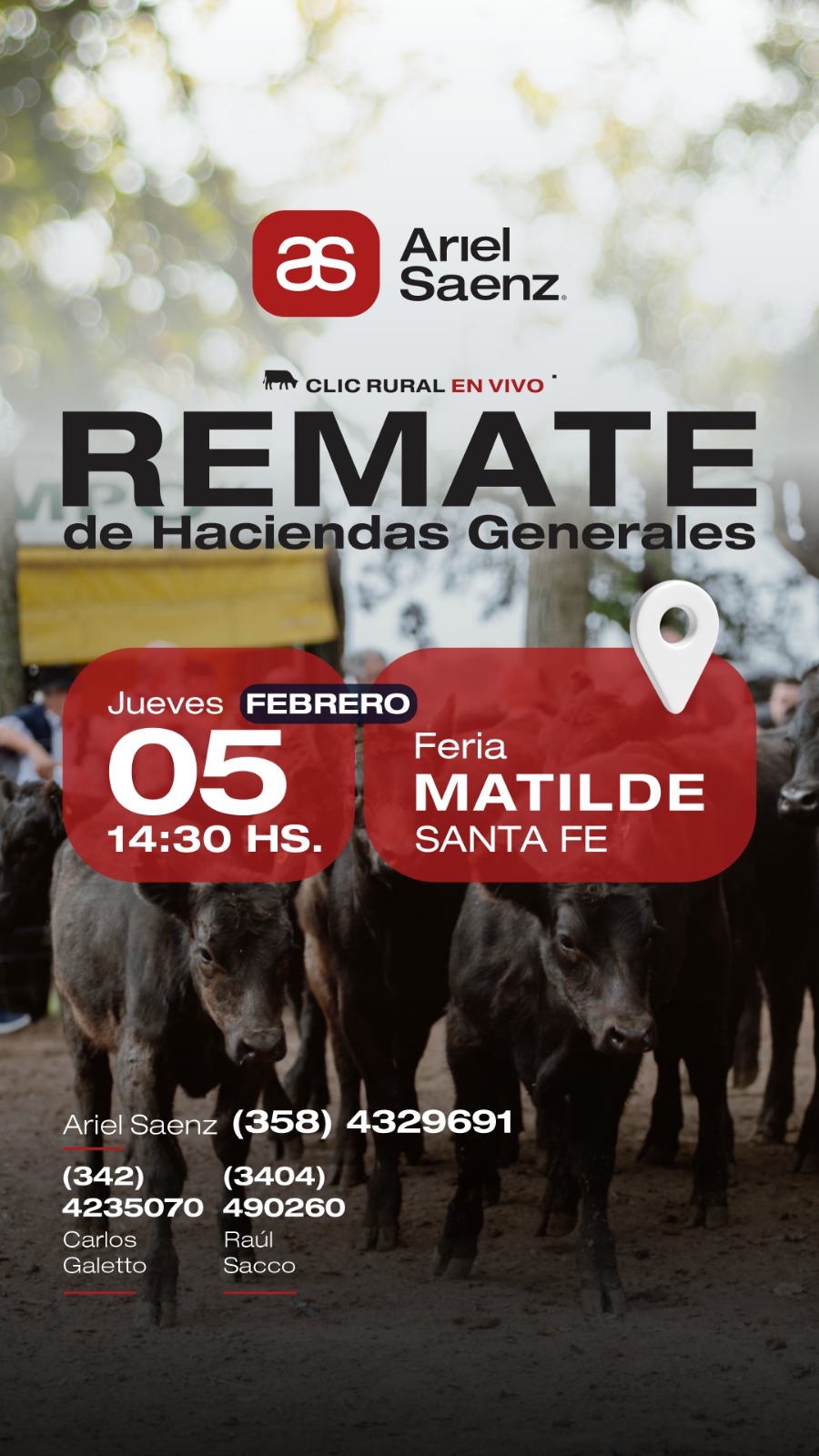 Remate 05 de Febrero - Matilde