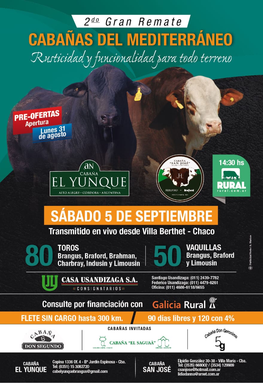 Afiche 2º Gran Remate - Cabañas del Mediterráneo 