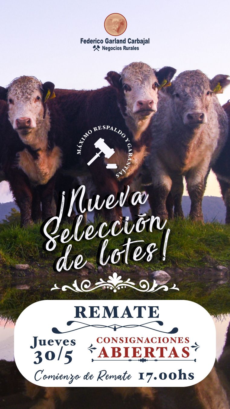 Afiche #45 Pantalla Carmelo 