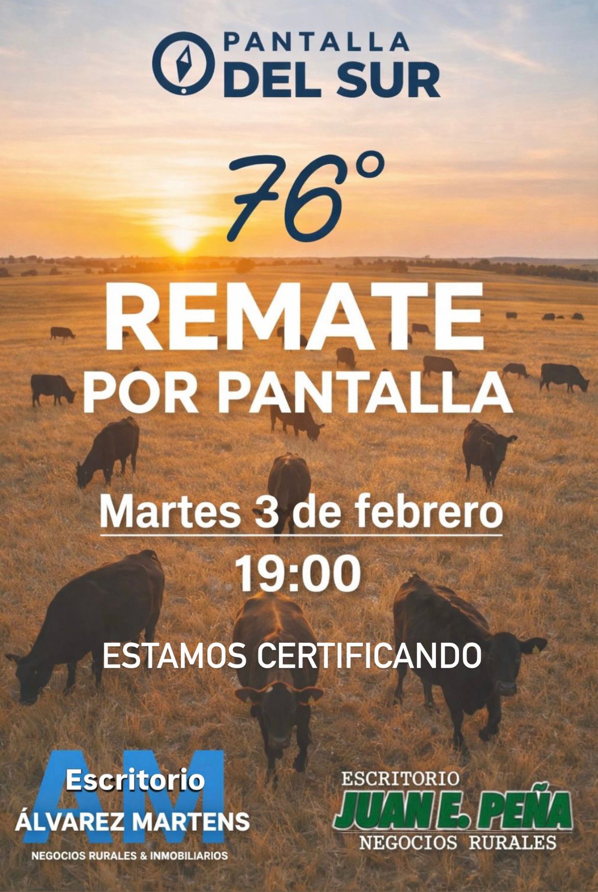 Remate 03 de Febrero - Virtual