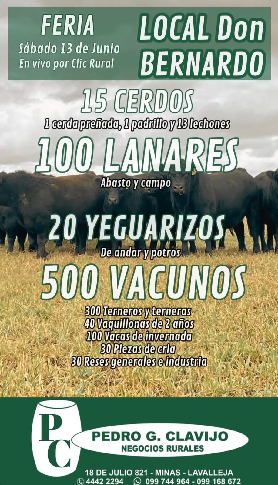 Feria mensual - Local Don Bernardo