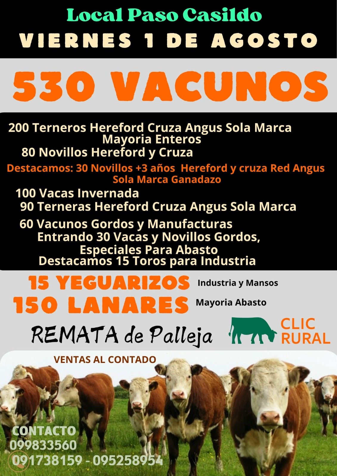 Afiche Feria Mensual - Federico de Palleja