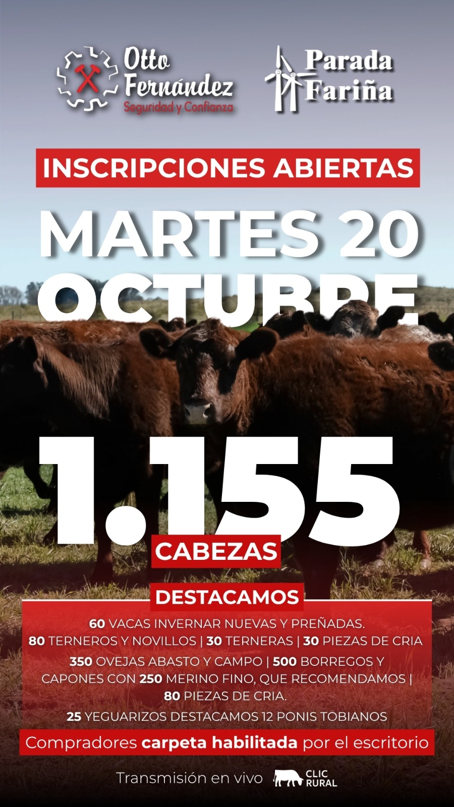 Afiche Feria mensual - Parada Fariña