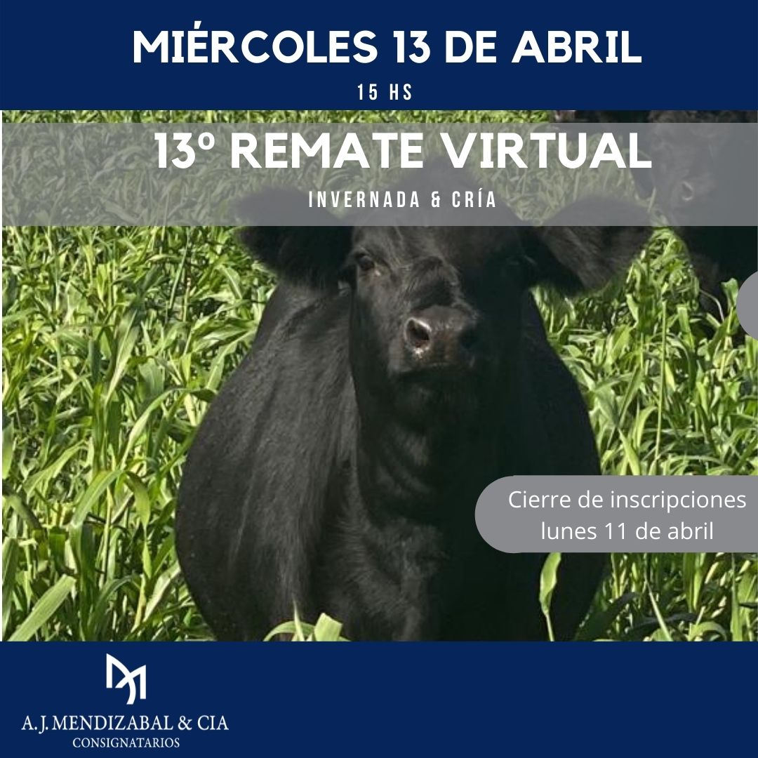 Afiche 13° Remate Virtual