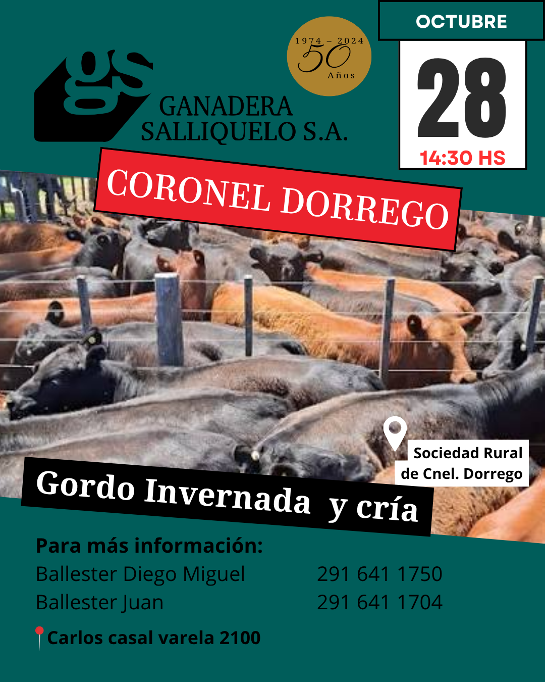Afiche REMATE EN CORONEL DORREGO