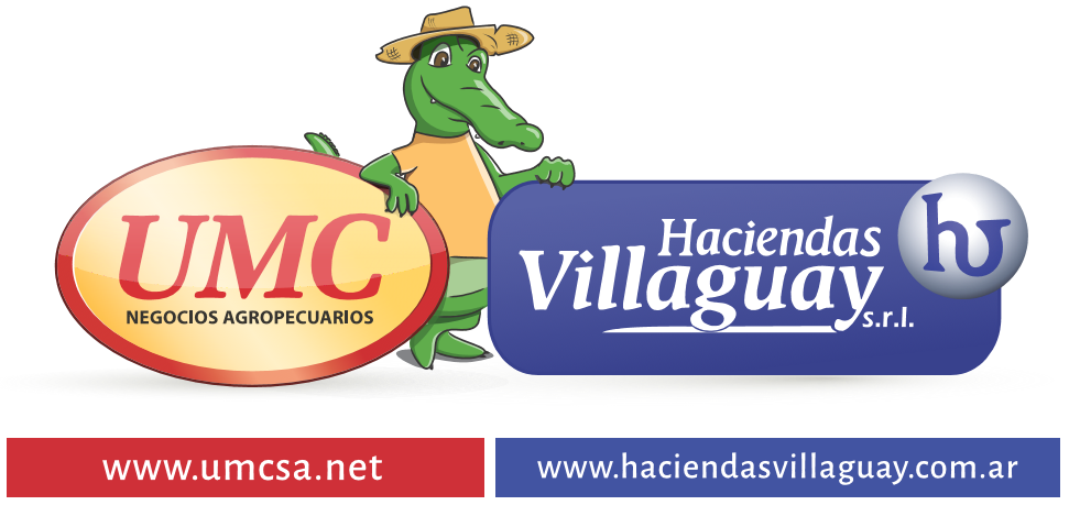 Afiche 12/5 - 130 - Internet