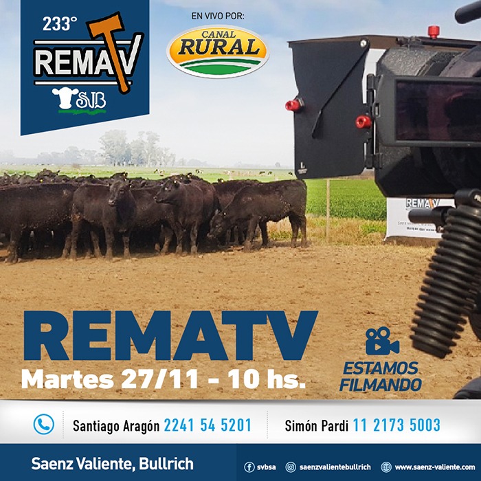 233° RematV