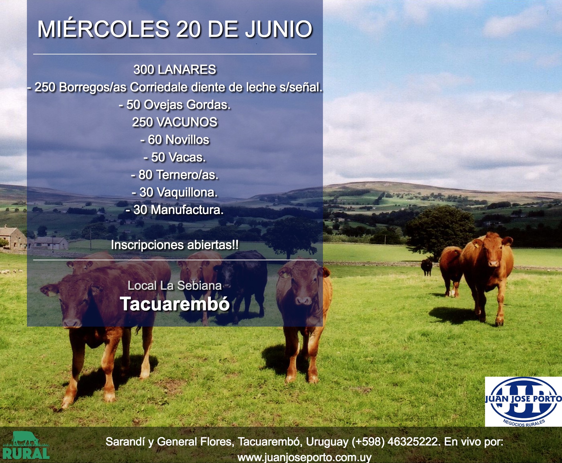 Afiche 