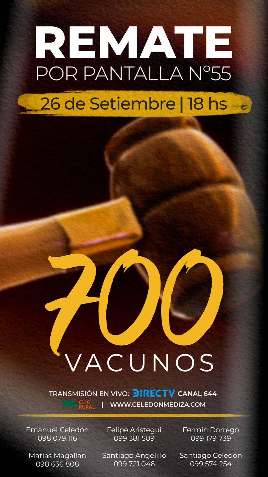 Afiche 55º Remate por Pantalla