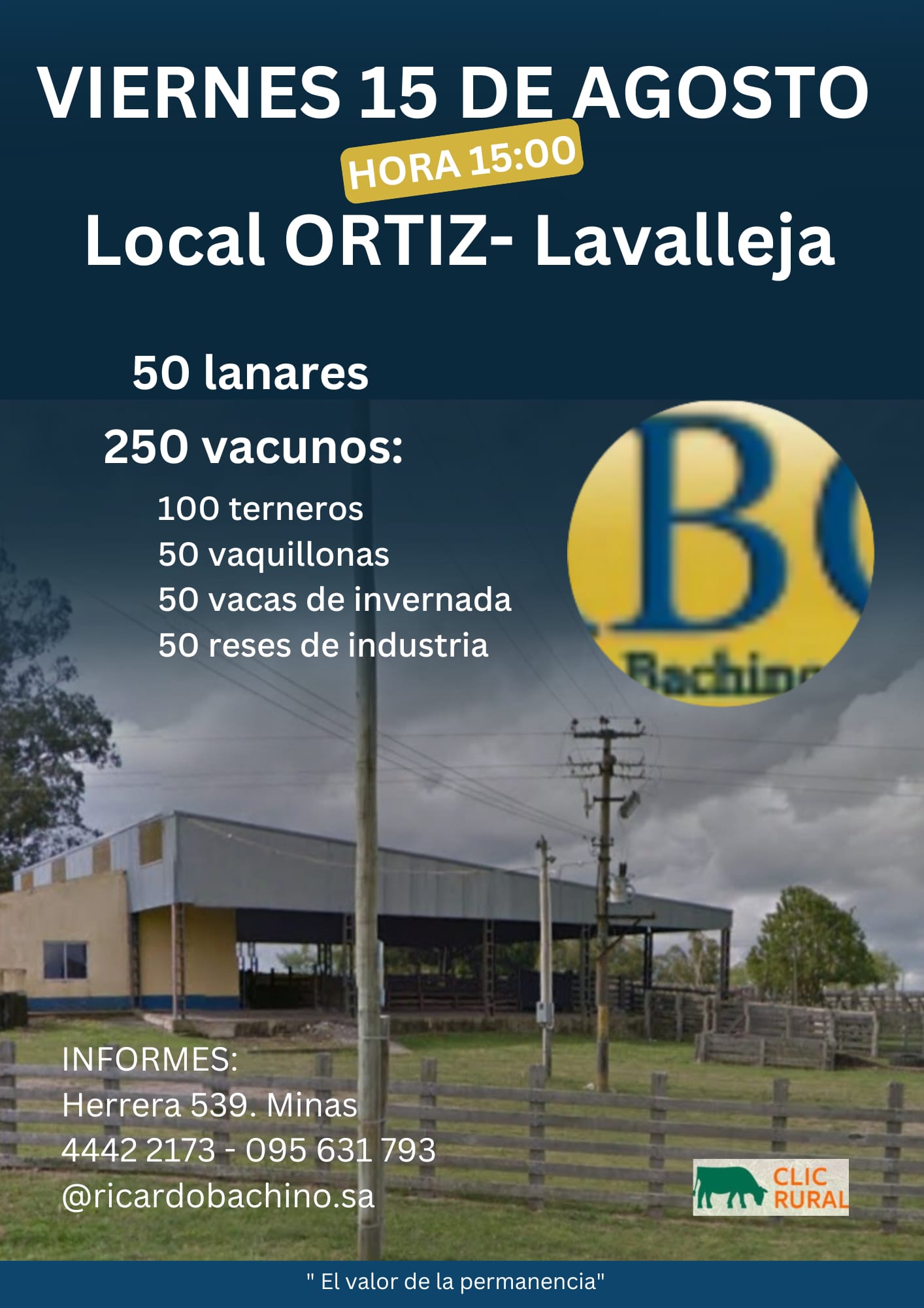 Afiche Feria mensual - Ricardo Bachino