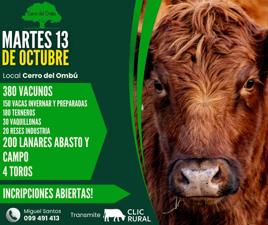 Remate Feria mensual - Cerro del Ombú