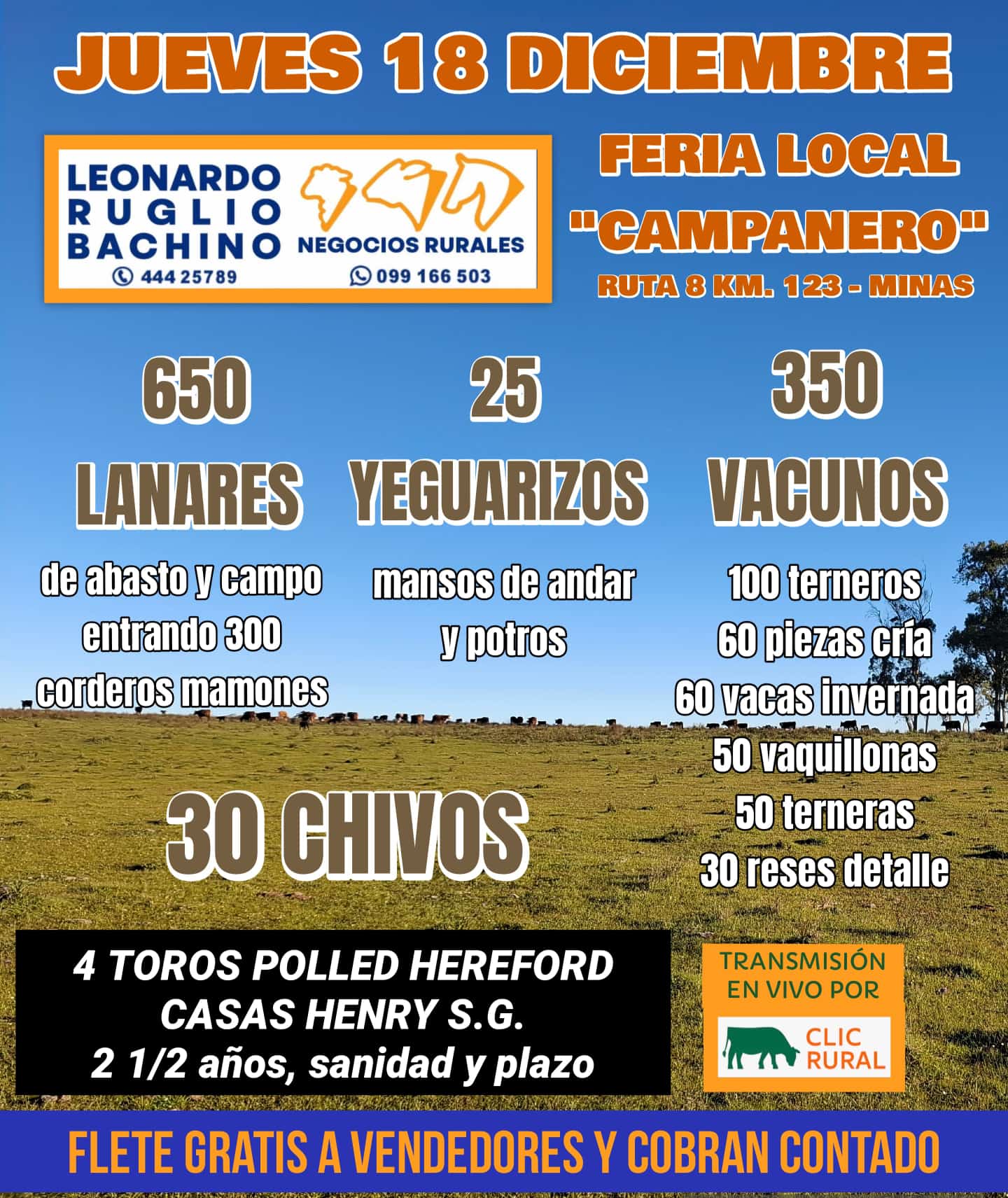 Afiche Feria Mensual - Ruglio Bachino