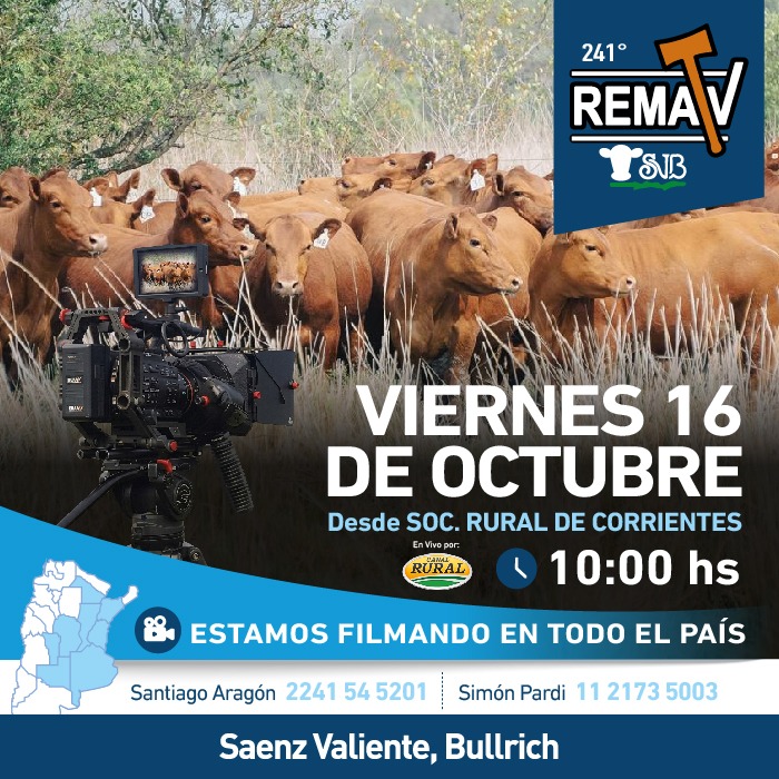 Afiche 241° RematV