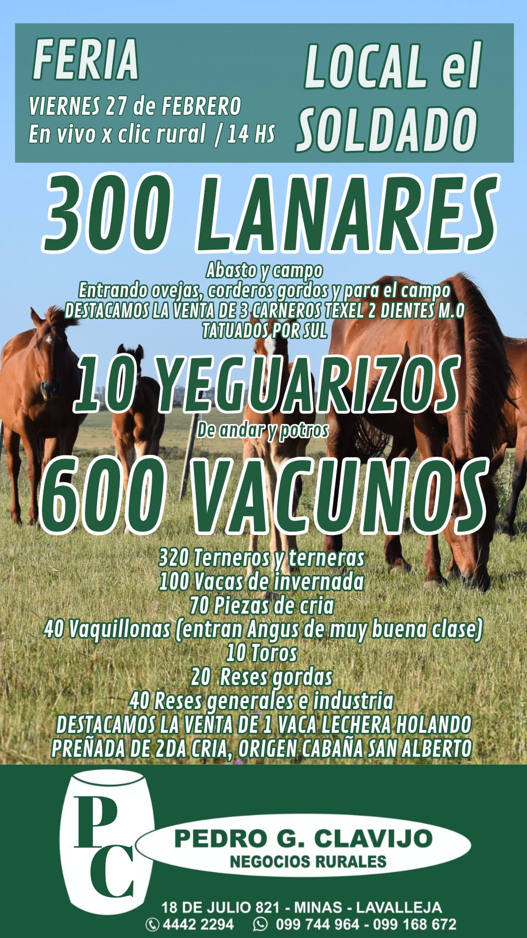 Feria mensual - Pedro G Clavijo