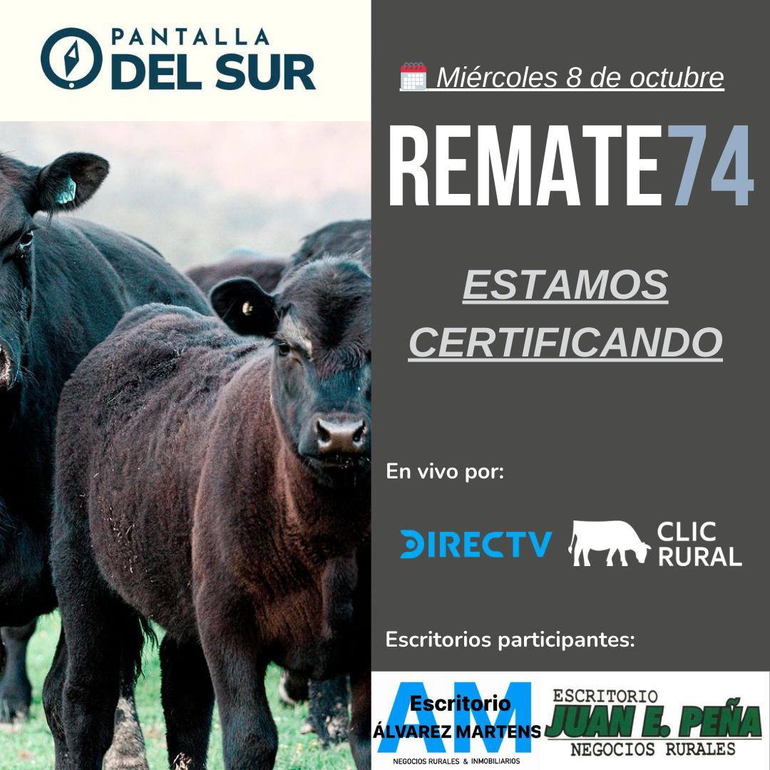 Afiche 74º Pantalla del Sur